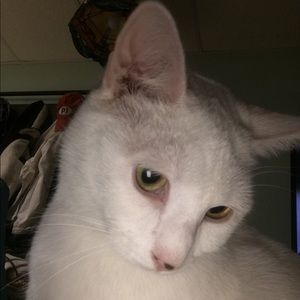 Meet your Posher, Greg